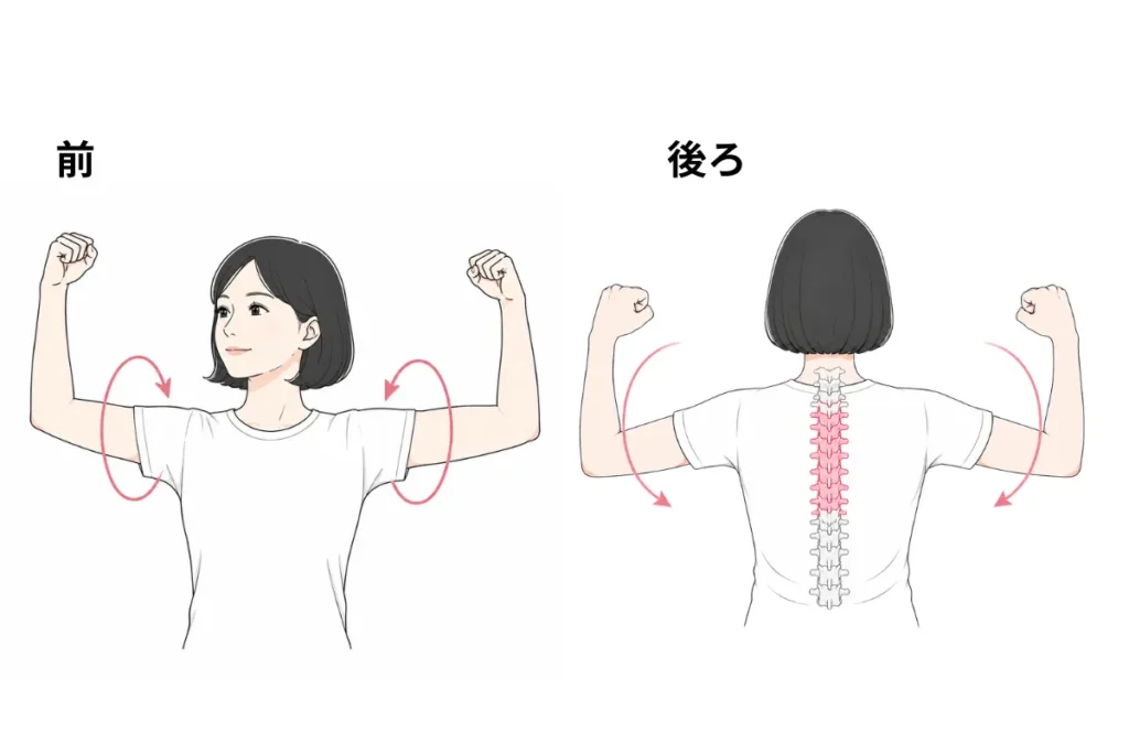 猫背改善のための肩回しストレッチのイラスト